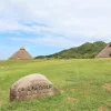 五斗長垣内遺跡たまねぎまつり｜五斗長垣内遺跡（淡路市黒谷）｜2025/5/3