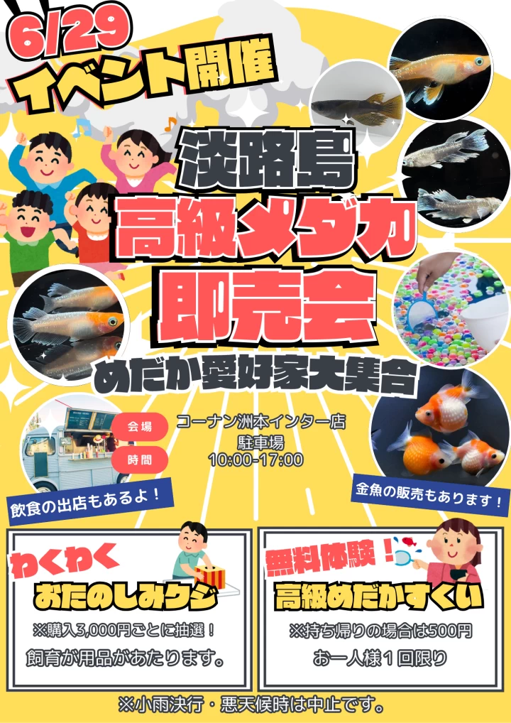 淡路島高級メダカ即売会
