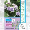 アジサイまつり｜淡路島公園（淡路市楠本）｜2025/6/7~7/6
