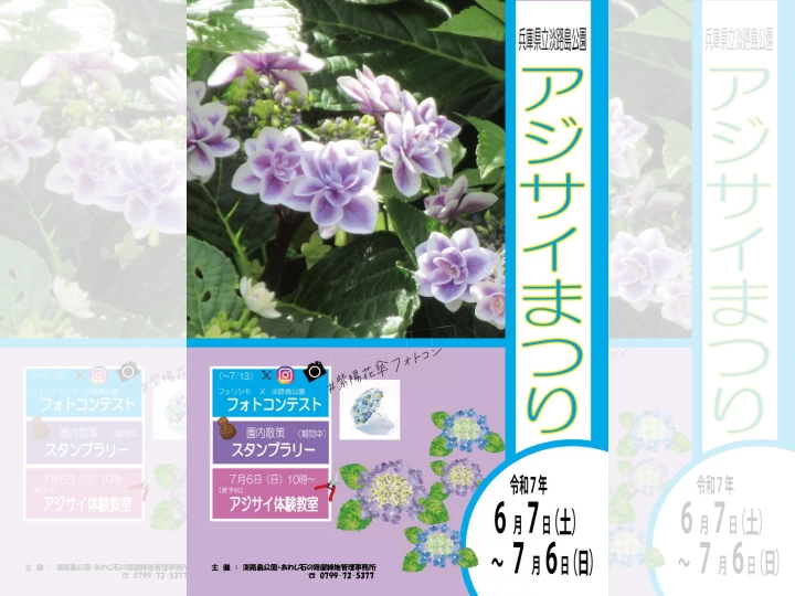 アジサイまつり｜淡路島公園（淡路市楠本）｜2025/6/7~7/6