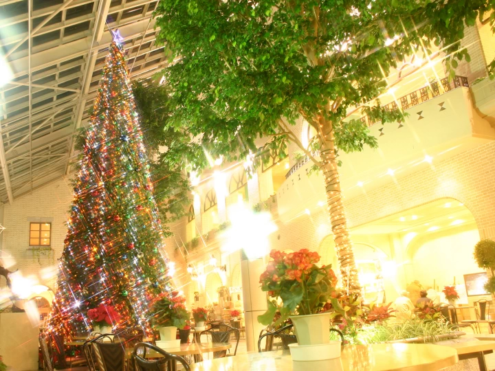 クリスマスツリー点灯イベント｜淡路ハイウェイオアシス｜2025/11/22