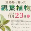 淡路島で育った観葉植物市｜ワステップ淡路島（淡路市大磯）｜2025/11/23