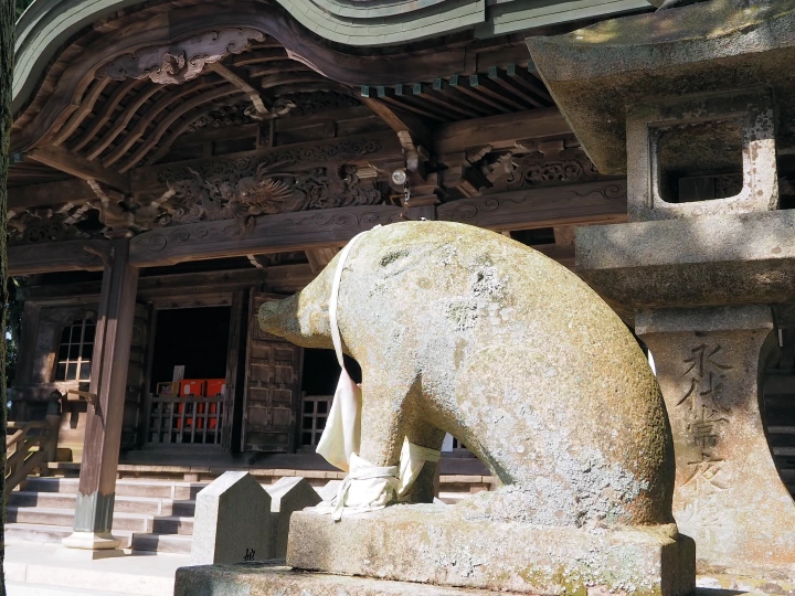 第48回 元旦歩こう会｜洲本市内～先山千光寺｜2026/1/1