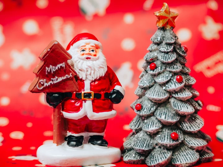 Happy Christmas 2025｜レディバードロード・淡路シェフガーデン｜2025/12/20~12/21