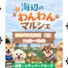 海辺のわんわんマルシェ｜レディバードロード（淡路市野島轟木）｜2026/2/22