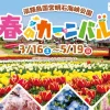 春のカーニバル｜明石海峡公園（淡路市夢舞台）｜2024/3/16~5/19